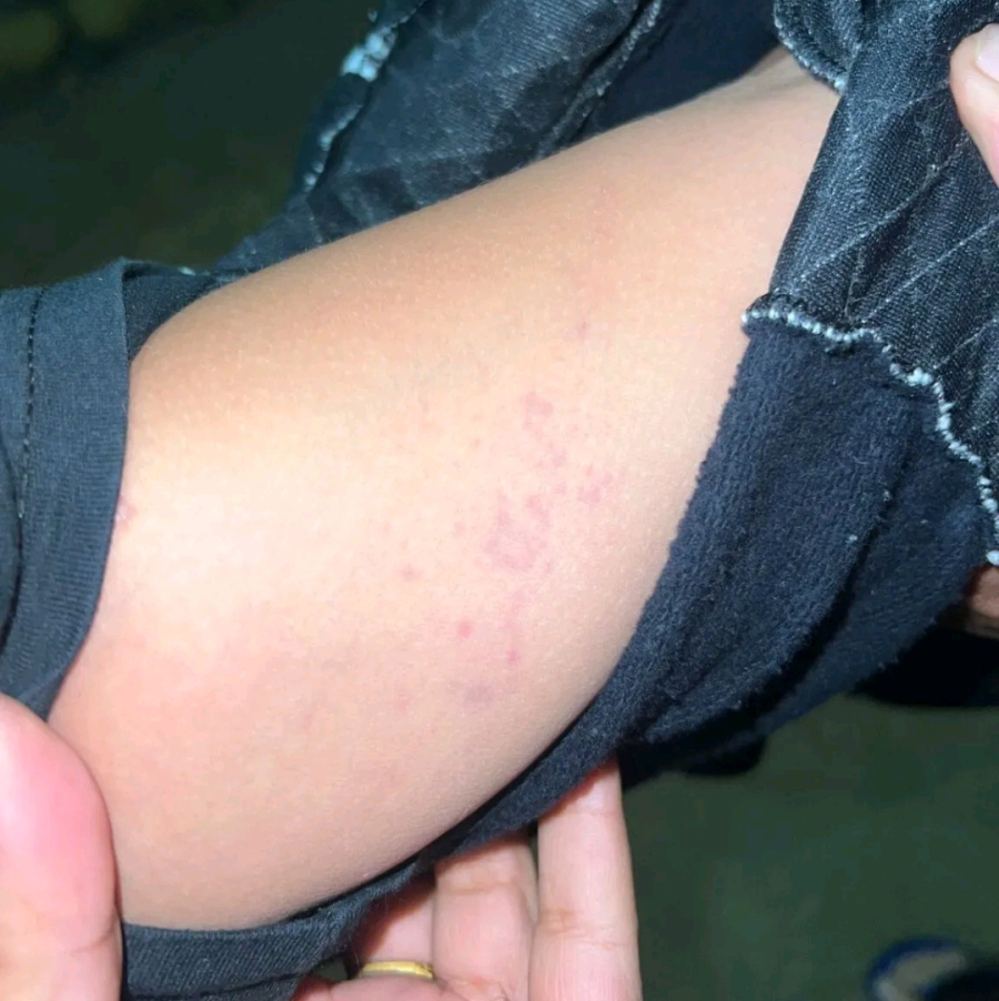 Vereador denuncia agressão a criança autista em escola de João Monlevade