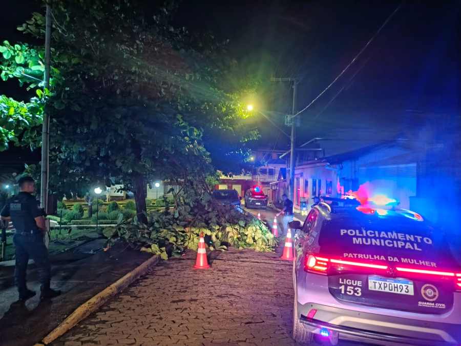 Chuva provoca queda de galhos e interdições no bairro Patrimônio