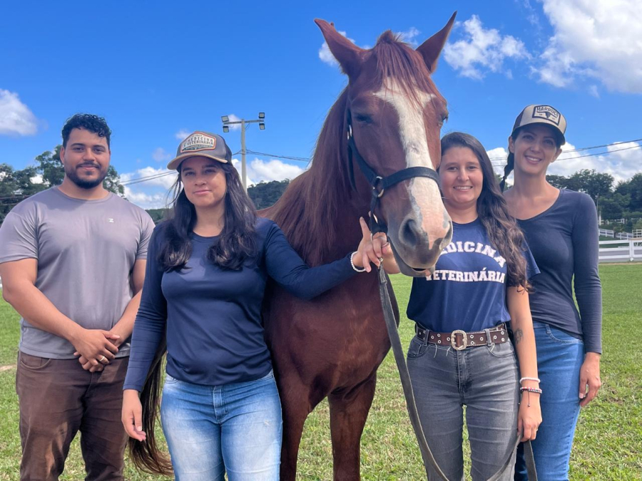 Equoterapia de São Gonçalo ganha reforço com chegada de novo cavalo