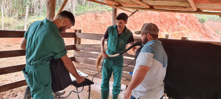 Parceria entre IFMG e Ceipart fortalece produção de queijo em São Gonçalo