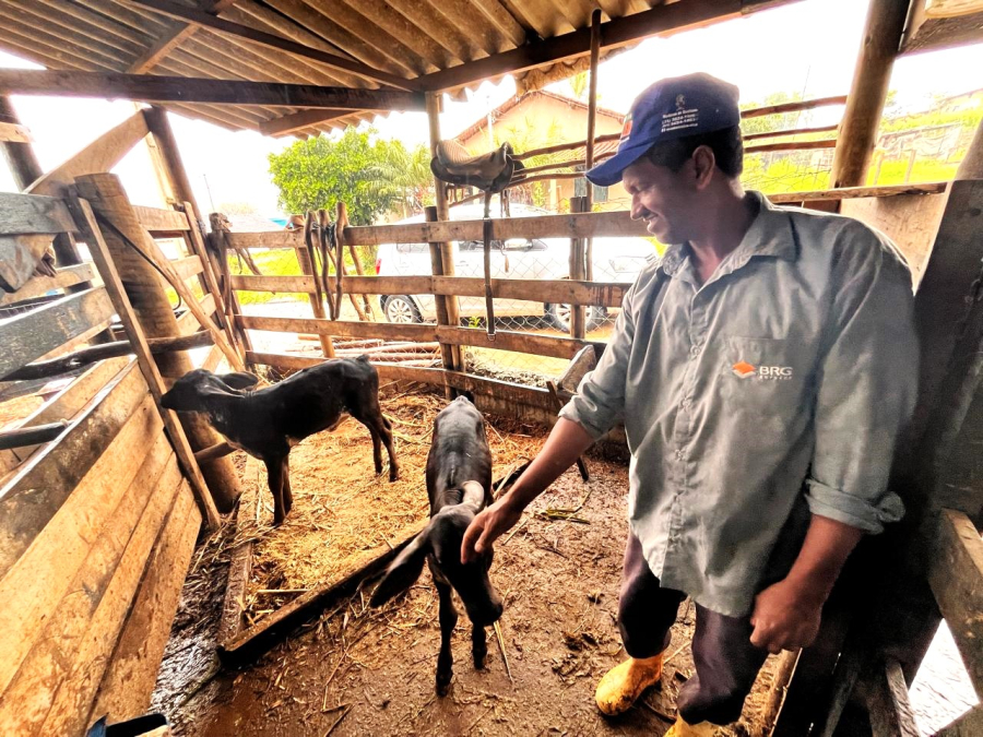 São Gonçalo promove Dia de Campo com foco na criação e saúde de bezerras