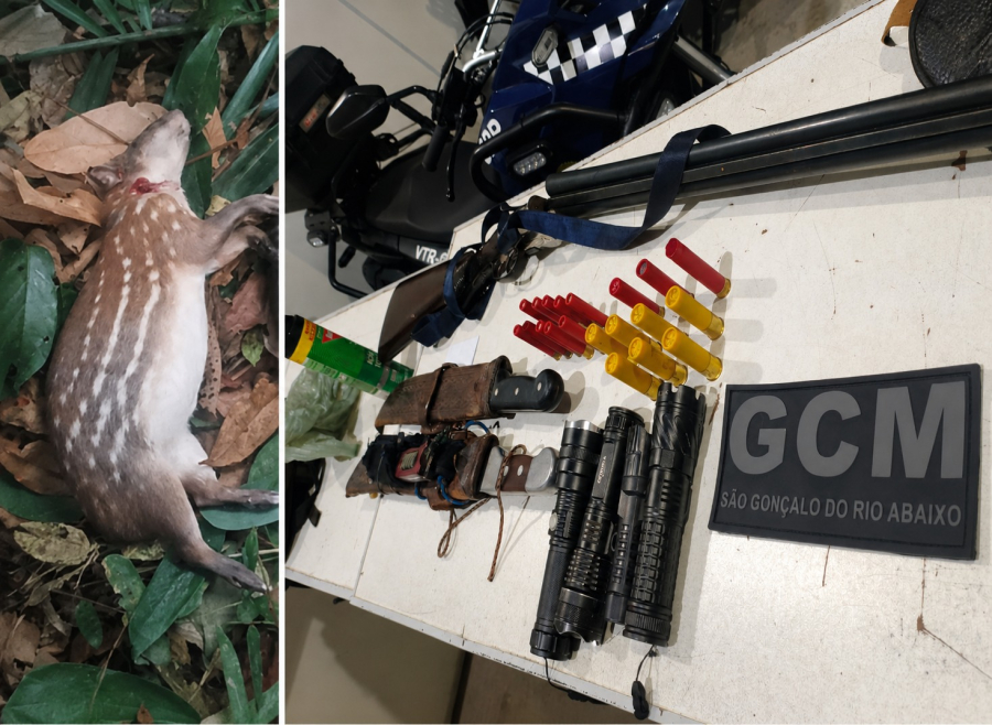 Guarda Civil Municipal prende dois homens por porte ilegal de arma e caça ilegal em São Gonçalo Do Rio Abaixo